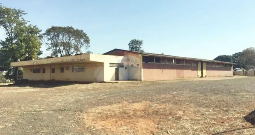 Barracão / Galpão / Depósito para alugar no Jardim Manoel Penna, Ribeirão Preto