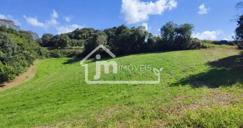 Chácara / sítio à venda no Rio Verde de Cima, Araucária