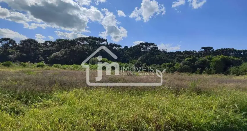 Chácara / sítio à venda no Rodeiozinho, Balsa Nova