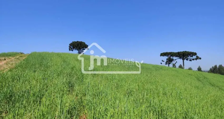 Chácara / sítio à venda no Rodeio Santo Antônio, Balsa Nova