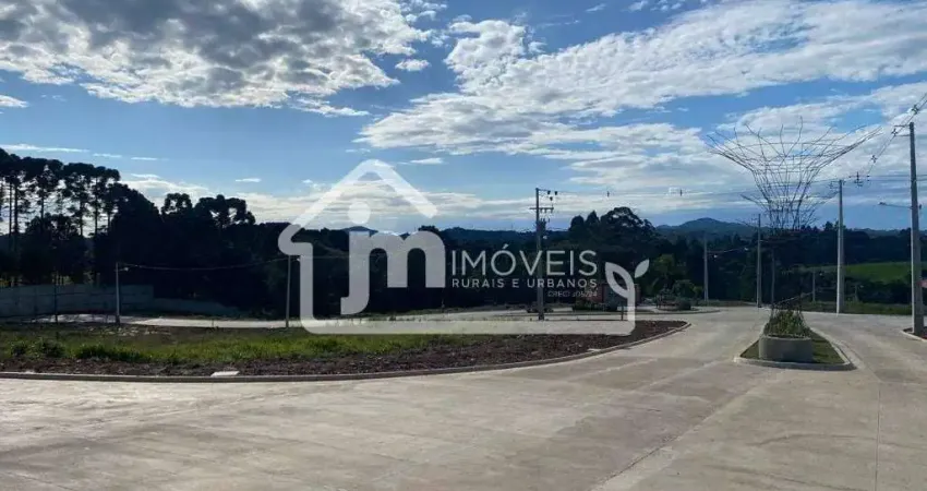 Terrenos à venda no reserva floresta do lago em campo largo/paraná.