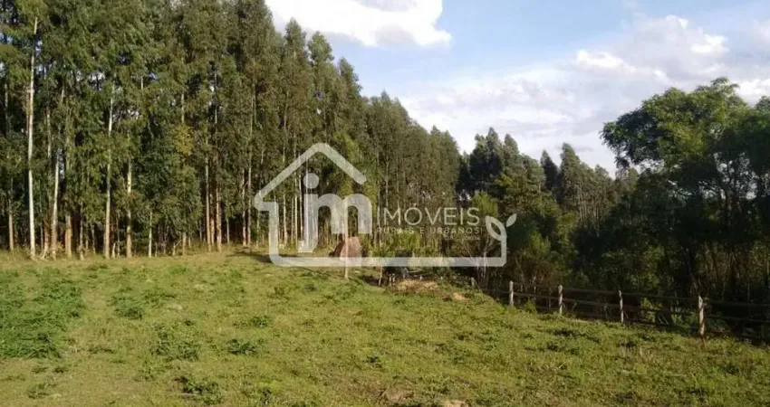 Casa à venda em Três Córregos, Campo Largo