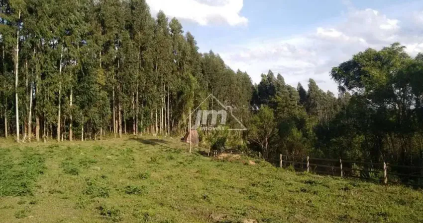 Chácara à venda em Sete Salto de Baixo - Três Córregos/PR