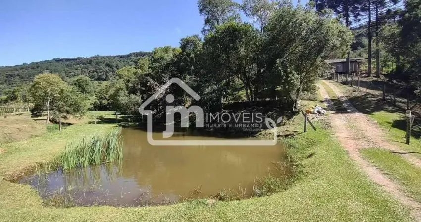 Casa com 2 quartos à venda na Nova Serrinha, Balsa Nova