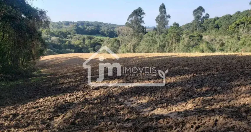 Chácara a venda no bairro colônia balbino cunha - em campo largo/pr