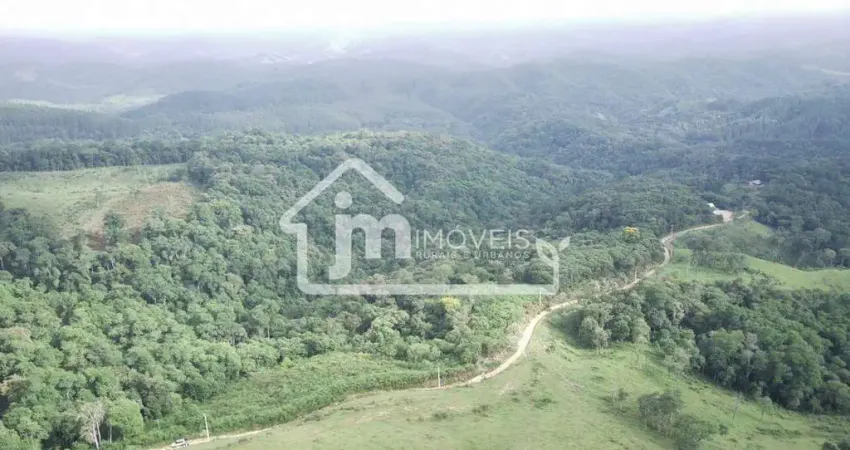 Terreno para formação de chácaras à venda na estrada da ribeira – campo largo/pr