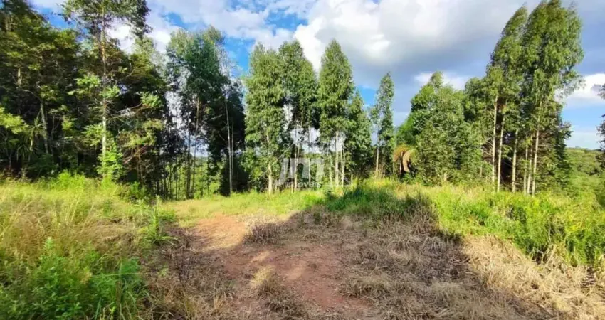 Lote para Formação de Chácara à venda em Balsa Nova/PR