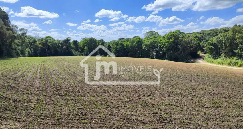 Casa à venda no Ipiranga, Araucária 