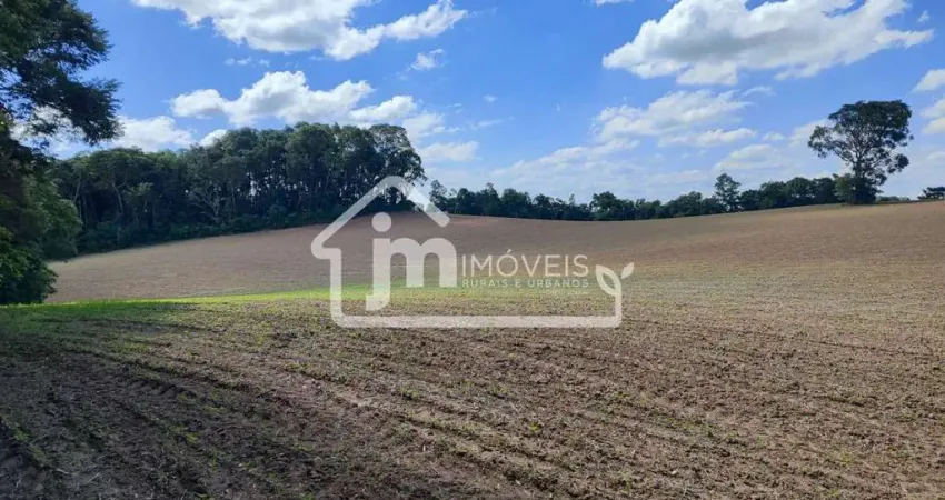 Casa à venda no Ipiranga, Araucária 