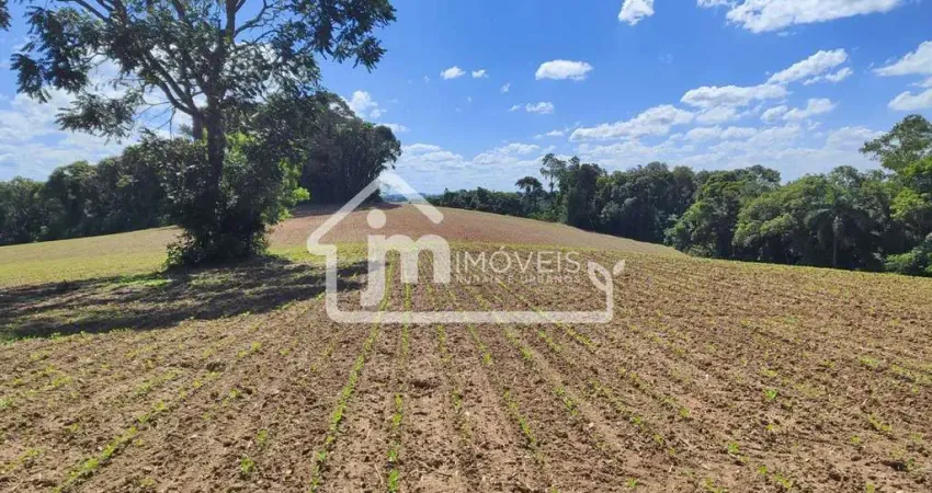 Casa à venda no Ipiranga, Araucária 