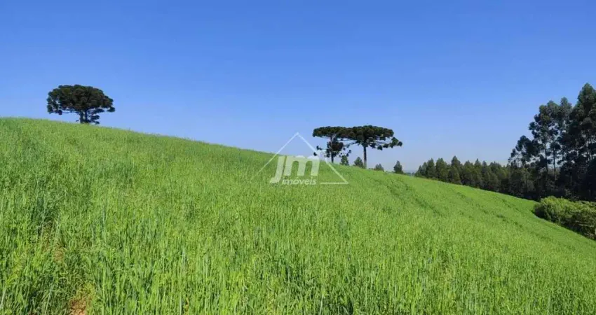 Terreno à venda na Estrada do Mato Chiqueiro – em Balsa Nova/PR