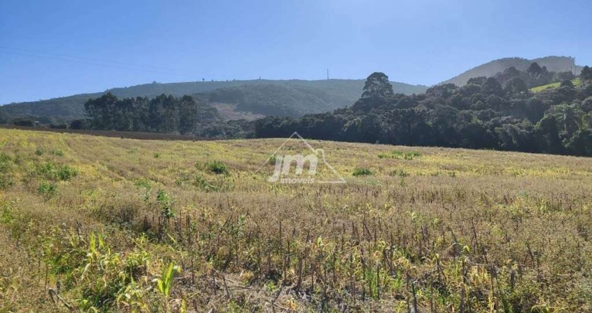 Chácara à venda no Bairro Bugre - em Balsa Nova/PR