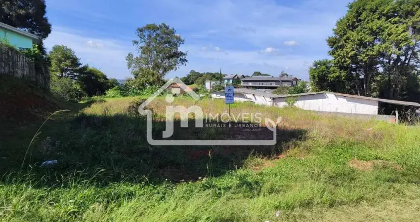 Terreno à venda no Conjunto Habitacional Partenope, Campo Largo 