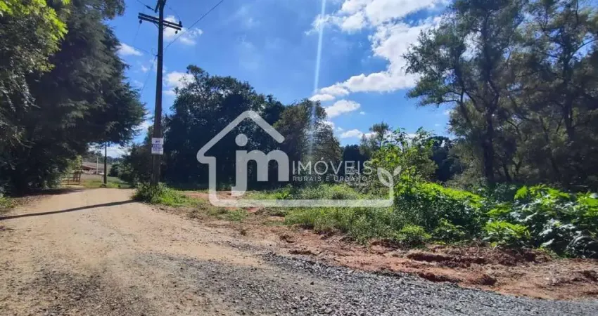 Terreno à venda na Nova Serrinha, Balsa Nova