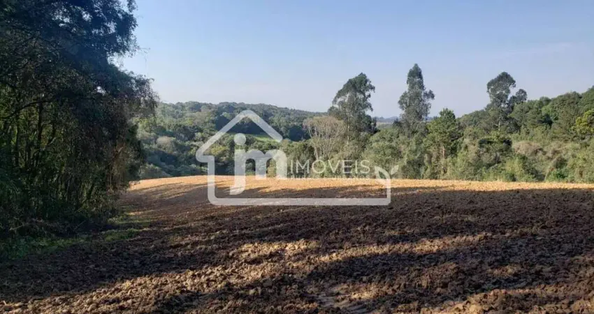 Chácara / sítio à venda na Colônia Balbino Cunha, Campo Largo