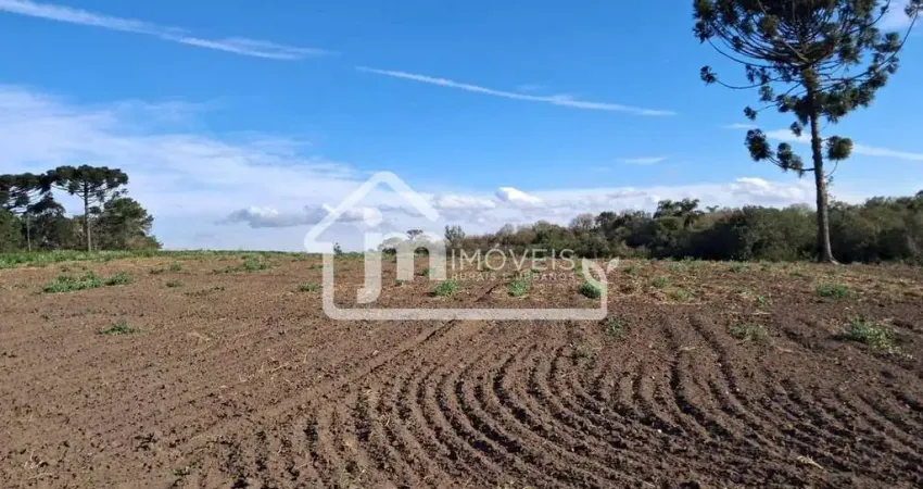Casa à venda no Rio Verde de Cima, Araucária 