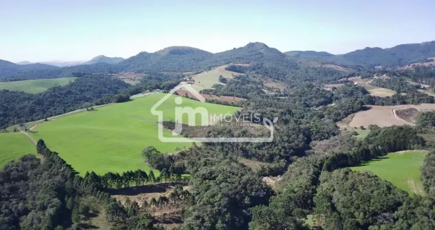 Fazenda para Venda em Campo Largo, Bateias, 2 dormitórios, 1 banheiro