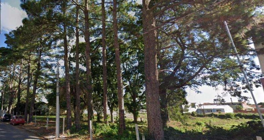 Terreno comercial à venda na R PRF HEITOR DA G FERNANDES, 649, Camobi, Santa Maria