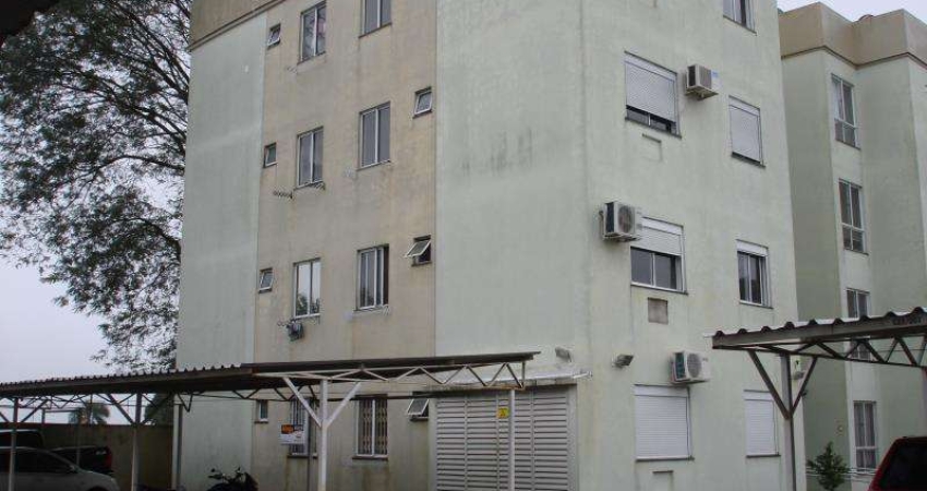 Apartamento - Santa Maria RS
