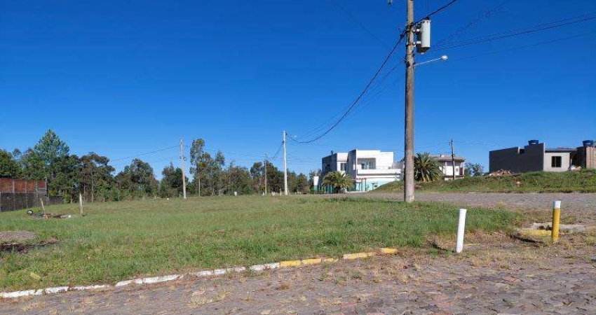 Terreno comercial à venda na Rua E, 1, Tomazetti, Santa Maria