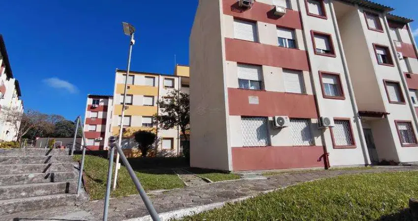 Apartamento com 3 quartos para alugar na Rua Fernandes Vieira, 81, Salgado Filho, Santa Maria
