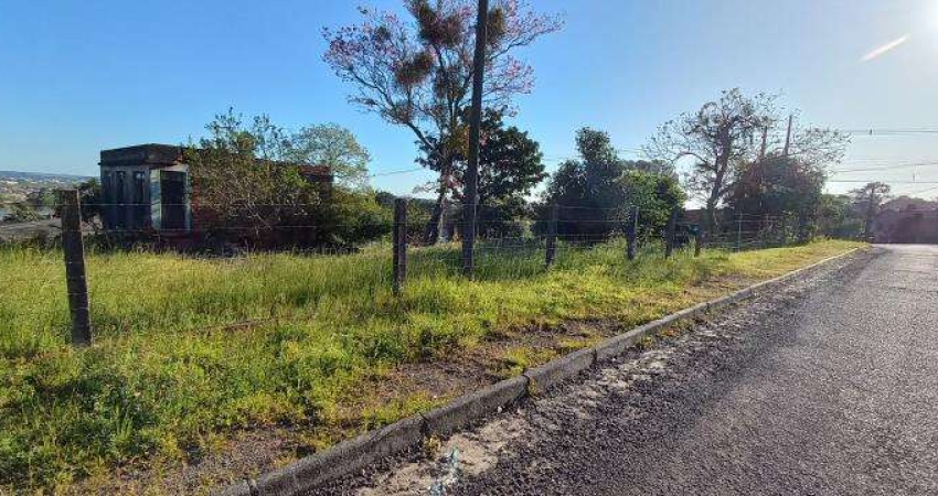 Terreno comercial à venda na Avenida Borges de Medeiros, 167, Caturrita, Santa Maria