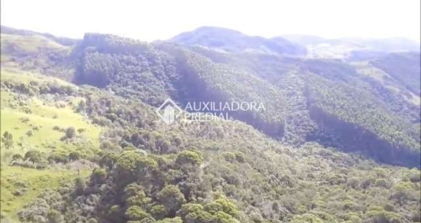 Fazenda à venda na Antônio Bittencourt Capanema, 858, 252, Centro, Imaruí
