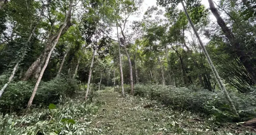 Terreno à venda na Izabel Idalina Ferreira, 2901, Ressacada, Garopaba