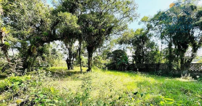 Lote / Terreno em Gaivotas  -  Matinhos
