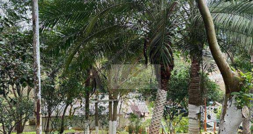 Chácara com 4 dormitórios à venda, 2100 m² por R$ 450.000,00 - Paraibuna - Paraibuna/SP
