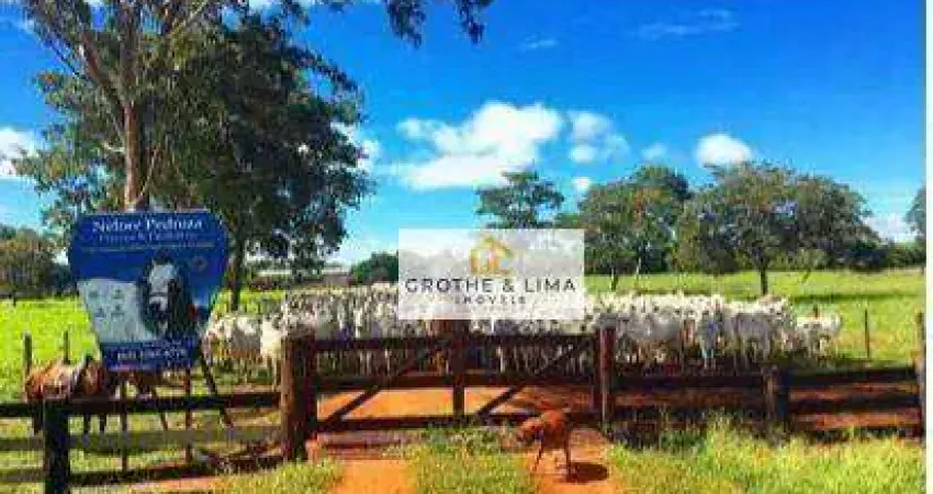 **Fazenda à Venda em Cocalinho, MT - Oportunidade de Pecuária de Alto Nível**
