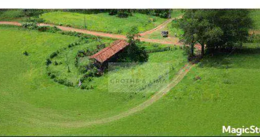 Fazenda com 4 dormitórios à venda, 196300 m² por r$ 10.000.000,00 - área rural de avaré - avaré/sp