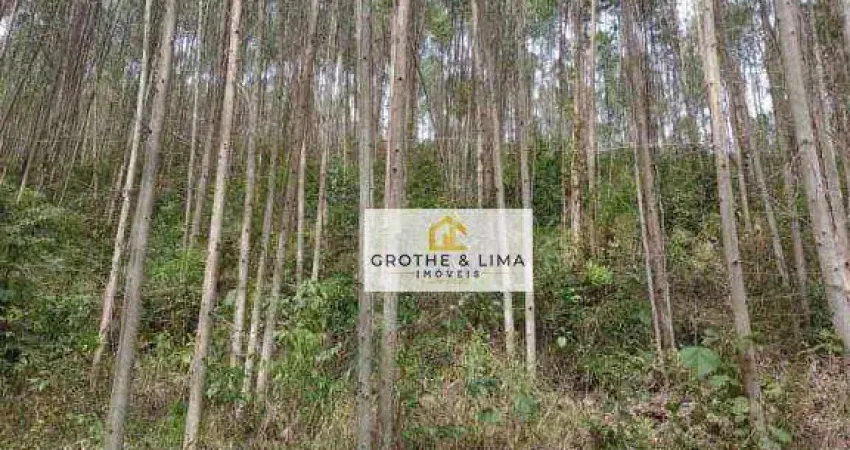 Área à venda, 108900 m² por R$ 440.000 - Cedro - Paraibuna/SP