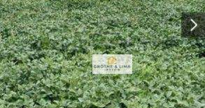 Fazenda com 711 alqueires à venda no município de Tomazinha/PR.