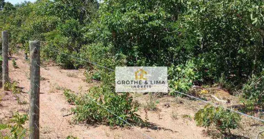Fazenda com 107 alqueires Goiano à venda no município de Sucupira/TO.