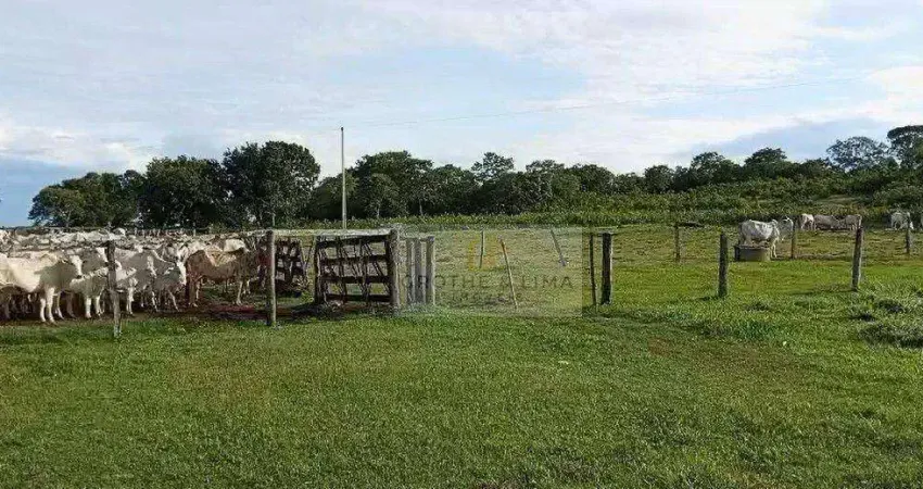 Fazenda à venda em Zona Rural, Paranã 