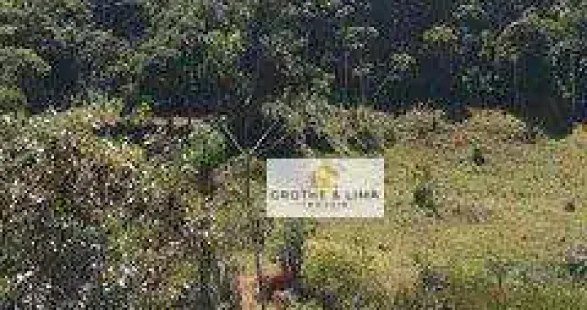 Chácara à venda, 22400 m² por R$ 150.000,00 - Zona Rural - Jacareí/SP