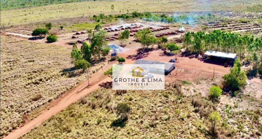 Fazenda à venda com 250 alqueires com 700 herctares aberto plantando capim e milheto, milho a 55 km de Araguaína.
