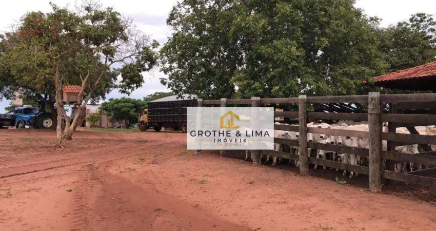 Fazenda Completa para Cria, Recria e Engorda | 365 Alq – Água Clara/MS