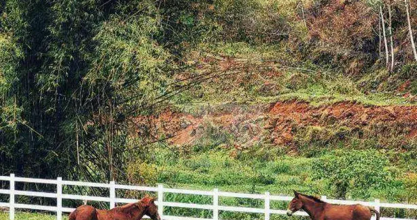 Chácara à venda, 20000 m² por r$ 1.000.000,00 - chácara taquari - são josé dos campos/sp