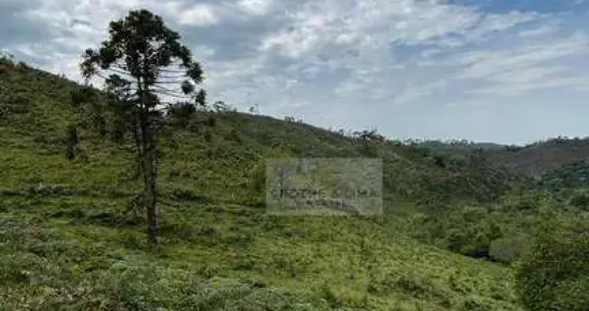 Chácara / sítio com 1 quarto à venda no Centro, Cunha 