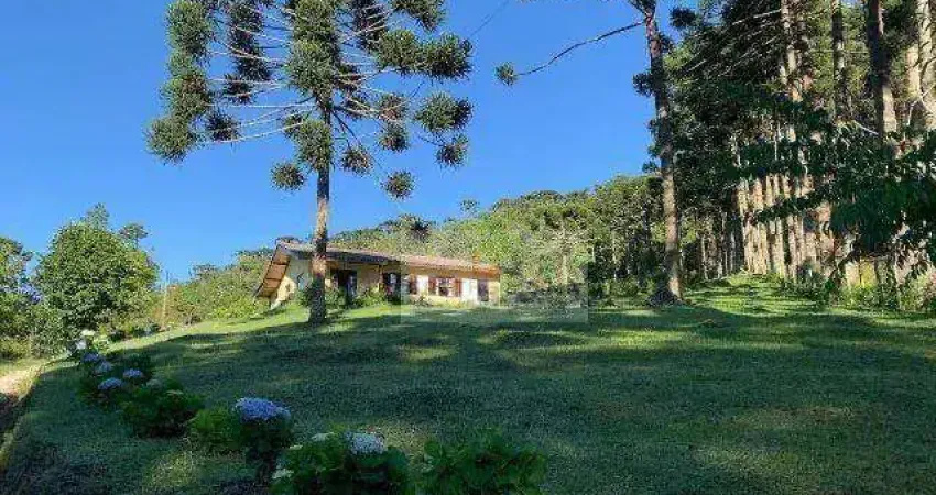 Sítio com 3 dormitórios à venda, 10000 m² por r$ 891.000,00 - vila nova são roque - são roque/sp