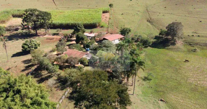 Sítio à venda, 181500 m² por r$ 1.100.000,00 - centro - taubaté/sp