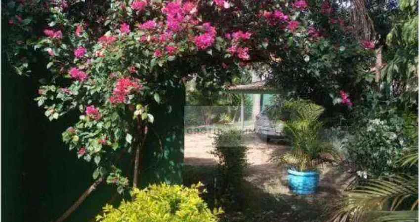 Chácara à venda – ampla, bem localizada e com pomar produtivo!