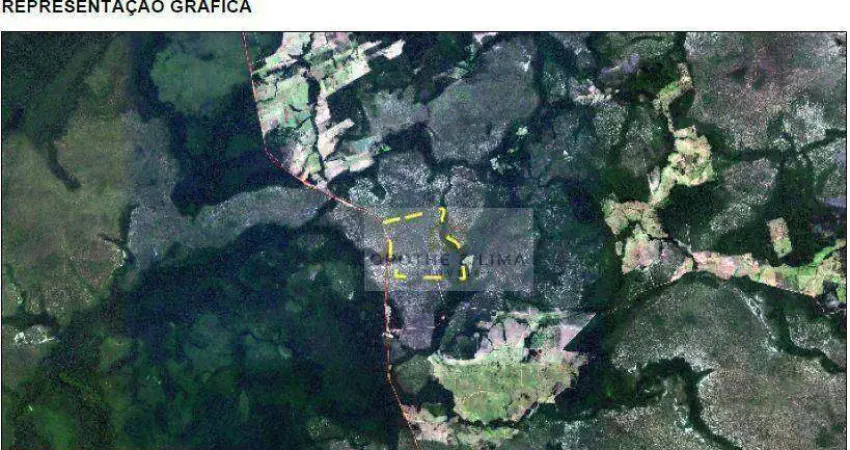 Área rural de 1.001 ha à venda em novo progresso – pa, ao lado da br-163
