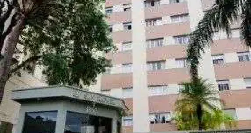 Apartamento com 3 dormitórios à venda - centro - campinas/sp