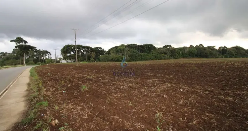 Terreno à venda na Avenida São João, São João, Contenda