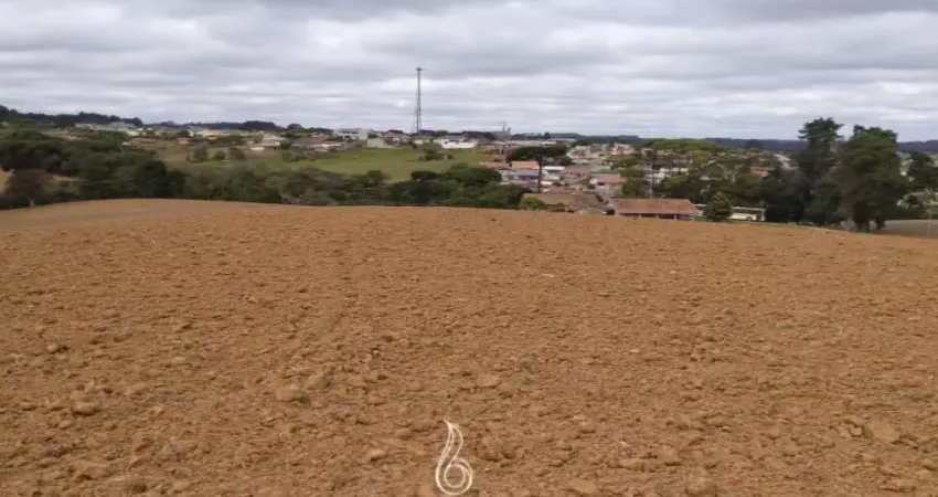 Terreno comercial à venda na Avenida Eleutério De Souza Padilha, 834, São João, Contenda