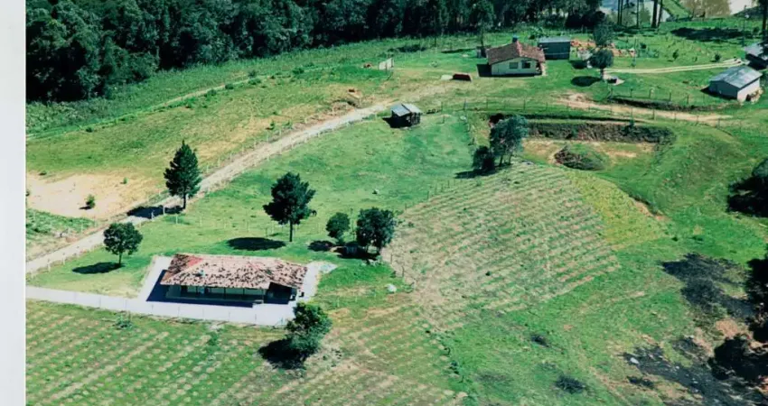 Chácara / sítio com 3 quartos à venda na Rodovia BR-116, Centro, Quitandinha