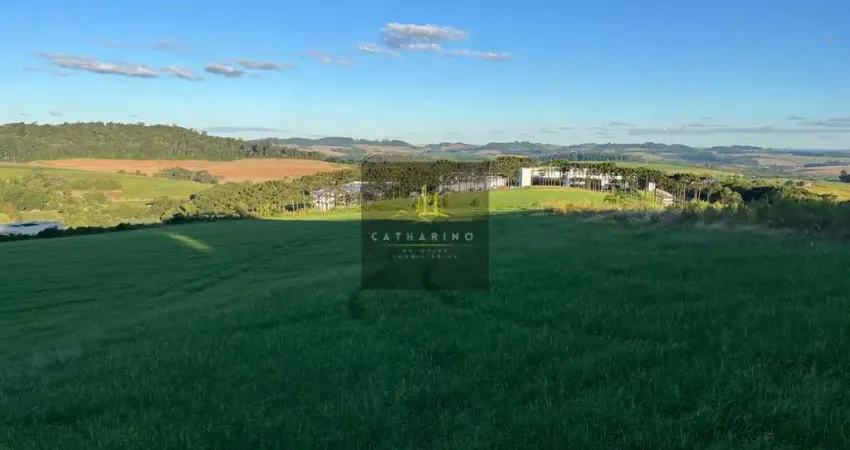 Terreno comercial à venda na Figueira, Chapecó